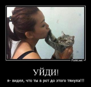 Повышатель настроения-132ee04c3390.jpg