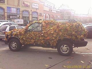Пикчи на автомобильную тему-12735.jpg