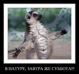 Кто как тЯпницу отмечает?-147482.jpg