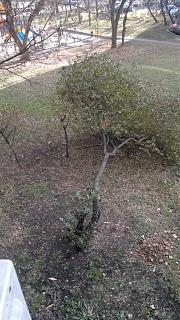 Трынделка-02112014.jpg