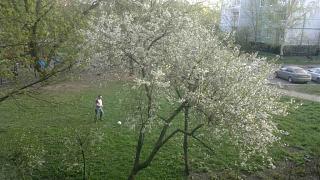 Трынделка-30042014.jpg