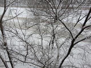Ну и погодка!-dsc04812.jpg