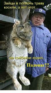 Повышатель настроения-382593.jpg