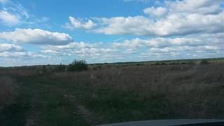 Красивые фотографии сделанные членами клуба-20140905_151334.jpg