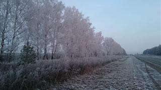 Красивые фотографии сделанные членами клуба-uploadfromtaptalk1416635164833.jpg