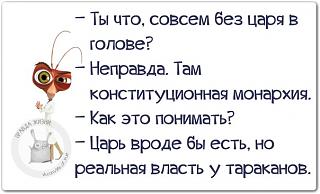 Повышатель настроения-u10bbaucz1q.jpg