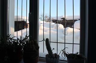 Ну и погодка!-novoe-foto-2347.jpg