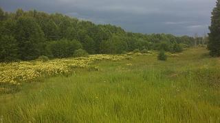 Красивые фотографии сделанные членами клуба-20140710_170400.jpg