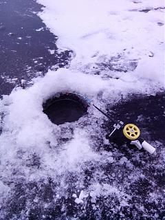 Что хорошего произошло за день?-img_20141206_102331.jpg