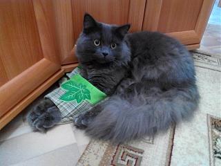Братья наши меньшие-img_20140407_123546.jpg