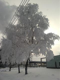 Красивые фотографии сделанные членами клуба-sp_a0181.jpg