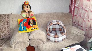 Братья наши меньшие-20140110_190208.jpg