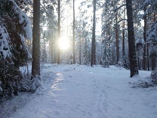 Красивые фотографии сделанные членами клуба-img_20141227_142651.jpg
