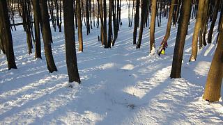 Ну и погодка!-20141229_121849.jpg