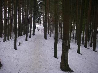 Ну и погодка!-imgp1679.jpg