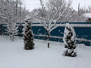ДАЧА-image.jpg