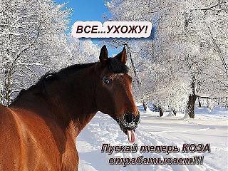 С Новым годом!-image.jpg
