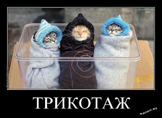 Повышатель настроения-fid-49806.jpg