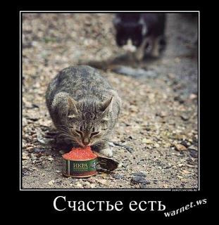 Повышатель настроения-fid-50224.jpg