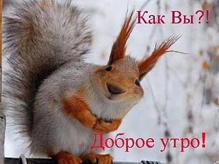 С Новым годом!-getimage.jpg