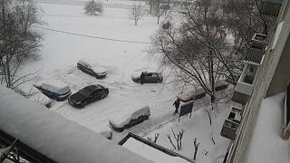 Ну и погодка!-20150110_104818.jpg