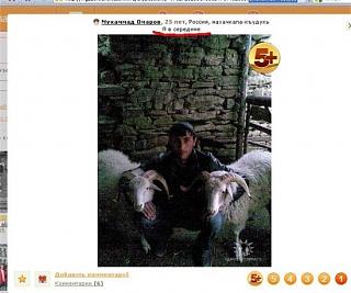 Повышатель настроения-oven.jpg