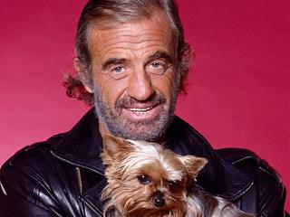 Братья наши меньшие-belmondo.jpg