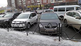 Встретил на дороге...-20150121_120444.jpg