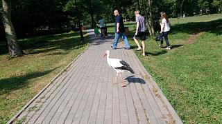 Красивые фотографии сделанные членами клуба-dsc_0350.jpg