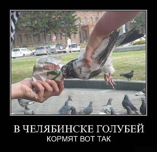 Повышатель настроения-1b679b.jpg