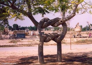 Просто интересно...-creativing.net_strangest_tree_farm_002.jpg