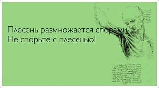Афоризмы дня-0jwomvfuo_w.jpg