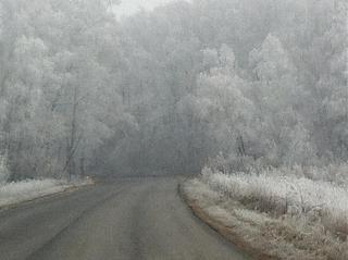 Красивые фотографии сделанные членами клуба-img_0398-1-.jpg