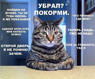 Повышатель настроения-4796668.jpg