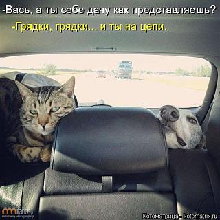 Повышатель настроения-post-74151-1424414982.jpg