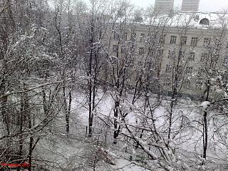 Ну и погодка!-090420113079.jpg