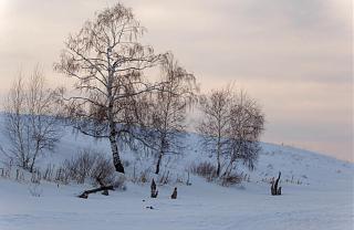 Красивые фотографии сделанные членами клуба-_mg_7231.jpg