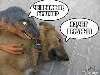 Братья наши меньшие-14.jpg