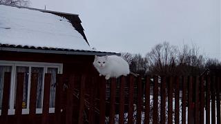 ДАЧА-img_20150308_165113.jpg