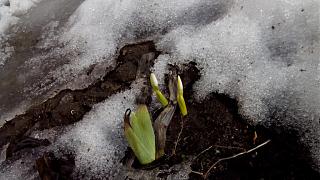 ДАЧА-img_20150309_133419.jpg