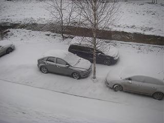 Ну и погодка!-imgp0074.jpg