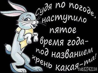 Ну и погодка!-getimage.jpg