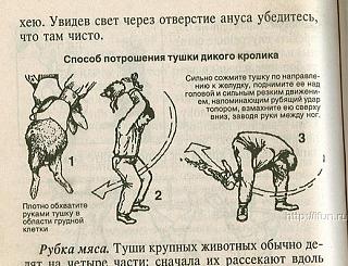 Повышатель настроения-krolika.jpg