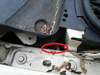 Название: 04092012.jpg
Просмотров: 230

Размер: 31.4 Кб