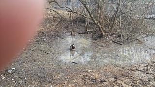 Что хорошего произошло за день?-20150418_100101.jpg
