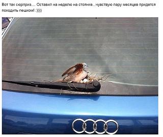 Пикчи на автомобильную тему-2015-04-23_214307.jpg