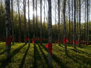 Встречи в Питере.-09052015577.jpg