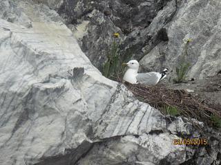 Карелия-img_2538.jpg