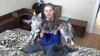 Братья наши меньшие-20150529_192427.jpg