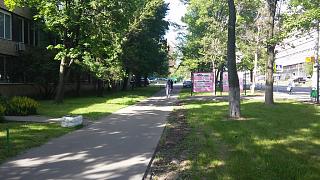 Встретил на дороге...-20150611_162224.jpg